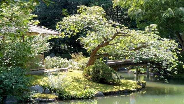 Hampton Place Apartment