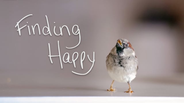 Finding Happy