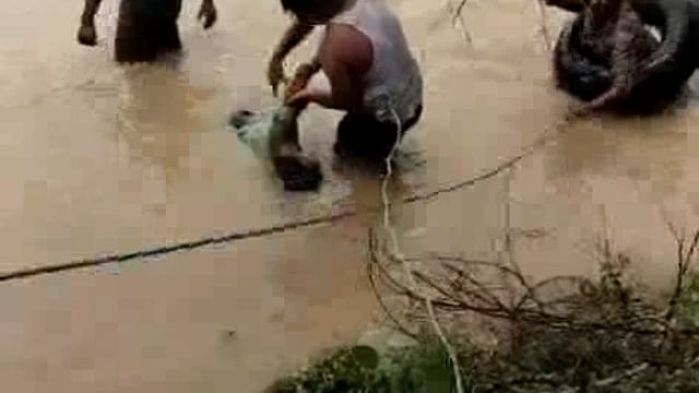 Agra jila mein ek Talab Mein aath bacche Ek Mahila Dube the jismein 4 bacchon ko aur Mahila ko surakshit bahar nikal liy tatha 3 bacchon Ki dardnak Maut Ho Gai Ek Ki Halat Najuk batai ja rahi hai