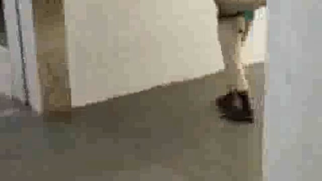 यह सड़क नहीं है यहां तो  जिला अस्पताल के अंदर दौड़ती हुई बाइक खोल रही है व्यवस्था की पोल.