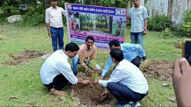 वन महोत्सव का हुआ आयोजन; 1 लाख 86 हजार लगाए गए पौधे