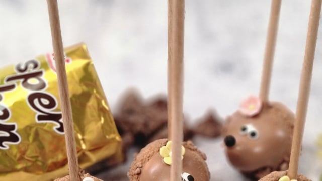 Vimeo Video Thumbnail