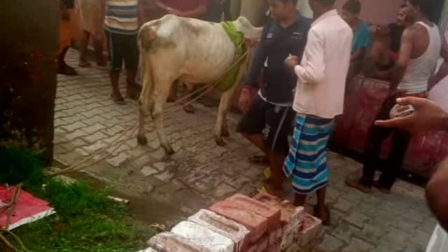 जिला मथुरा के तारसी गांव में 25 फीट गहरे कुएं में गिरा गाय का बछड़ा सभी गांव वालों की मदद से बचाई गई जान