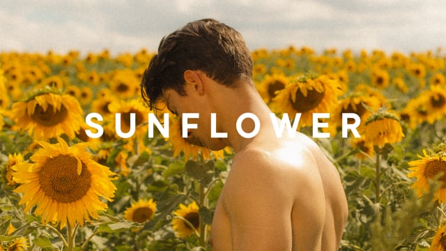 Sunflower - Official Trailer