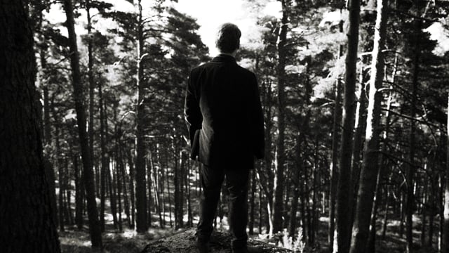 LA GÜESTIA - Teaser