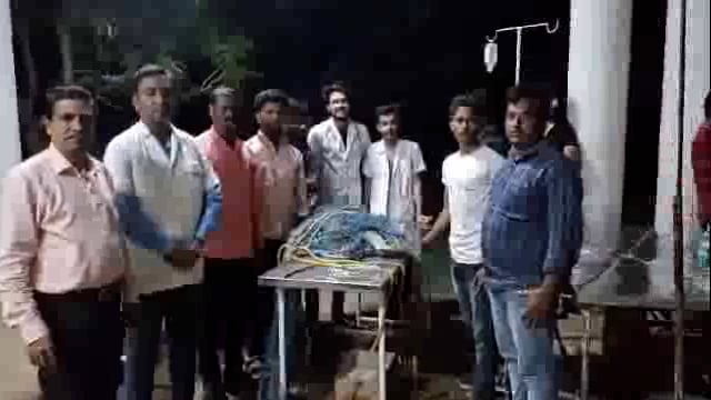 बिदर रोड येथे शॉक लागून वानर जखमी,वानरावर पशुवैद्यकीय महाविद्यालयात उपचार सुरू