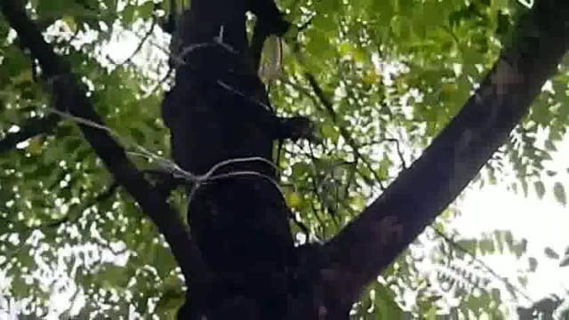 खौफ के साए में जी रहे विद्युत उपभोक्ता कभी भी हो सकती है अनहोनी।