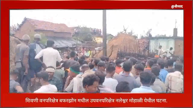 मोहाळी नलेश्वर गावात बिबट घुसला!.