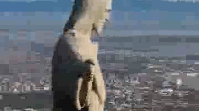 Saat Ajoobe Is Duniya Mein