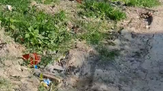 नगर पंचायत हीरागंज के मसवम का पुरवा जाने वाले मार्ग के बगल लगा खुला ट्रांसफार्मर की चपेट में आने से गौ माता की मौत,