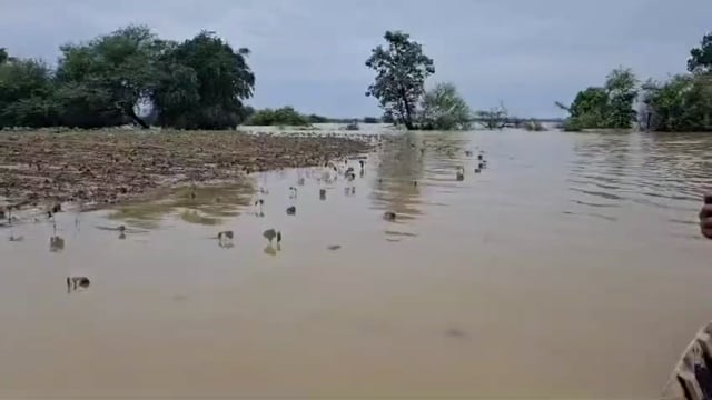 अप्पर जिल्हाधिकारी विजय भाकरे यांनी साधले शेतकरी व पुरपीडित नागरिकांशी संवाद

कृषी विभागाच्या अधिकाऱ्यांसह शेतातील मोक्यावरच्या परिस्थितीची पाहणी.