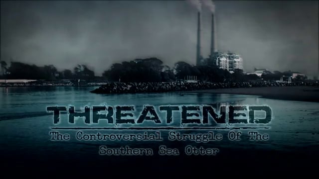 Threatened:  The Controversial Struggle Of The Southern Sea Otter