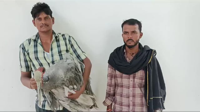 बाघराय थाना क्षेत्र के लाल का पुरवा में बकुलाही नदी में सारस पड़ा देखा तो राहुल सरोज ने उसका इलाज करा कर वन विभाग को किया