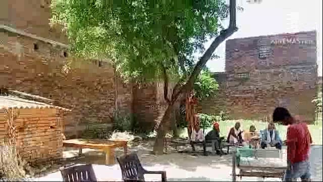 रानीकीसराय क्षेत्र मेबिजली विभाग की लापरवाही नीम के पेड़ पर बिजली केतार से होसकती है दुर्घटना बिजली विभाग बना धृतराष्ट्र