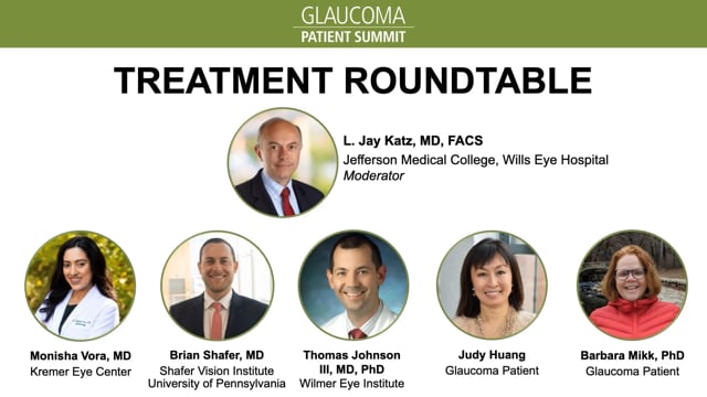 2024 Summit: Treatment Roundtable