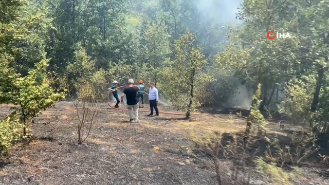 Akyazı'da çıkan orman yangını havadan görüntülendi