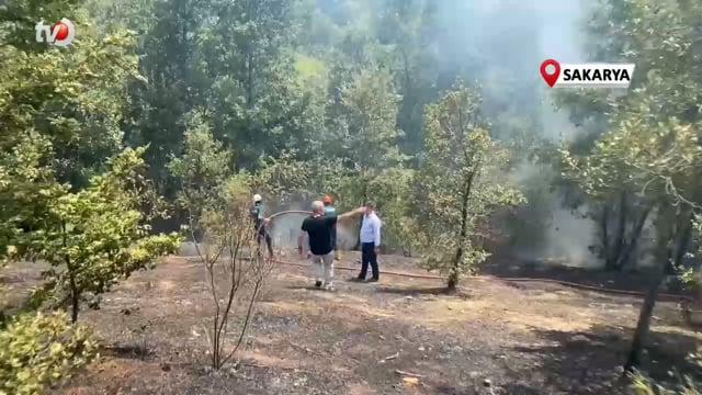 Akyazı'da Çıkan Orman Yangını Havadan Görüntülendi