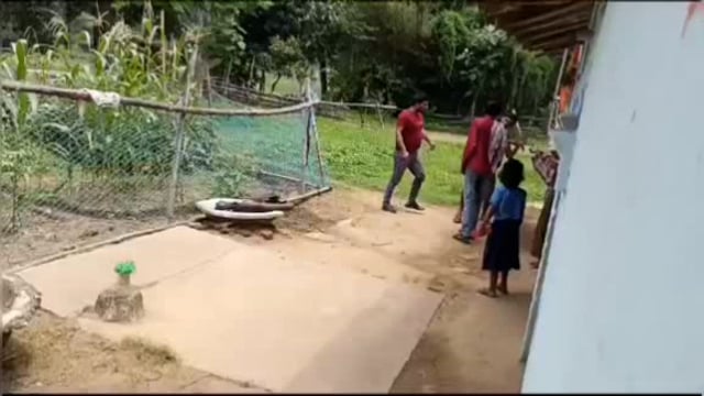 एक आशा कार्यकर्ता के साथ बेरहमी से मारपीट करने का वीडियो हुआ वायरल, सुईया थाना में मामला हुआ दर्ज, थानाध्यक्ष ने लिया सं