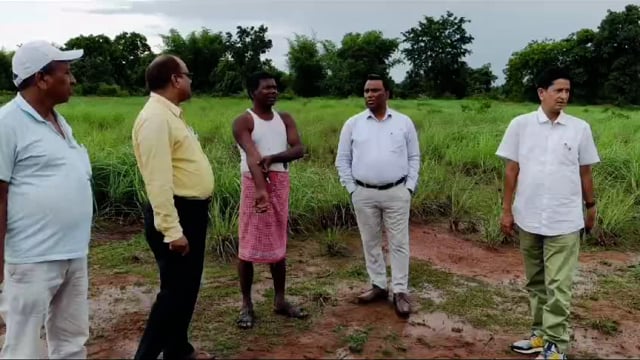 उप विकास आयुक्त ने लेमनग्रास की खेती का लिया जायजा; एक हजार लीटर तेल निकालने का लगाया गया अनुमान