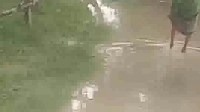 बारिश में गांव बना तालाब,ग्रामीण जलभराव से आने जाने को विवश 




बिहार ब्लॉक ग्राम पंचायत उमरी कोटिला