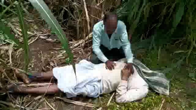 पिंपरी येथे जनावरे चारताना शेतकऱ्यांचा शॉक लागून दुर्दैवी मृत्यू