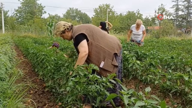 Çiftçiliğe kadın imzası