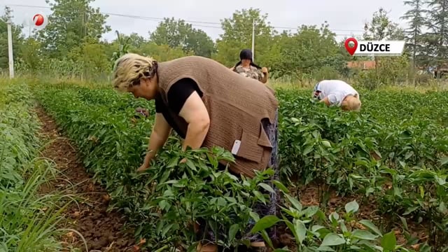 Çiftçiliğe Kadın İmzası