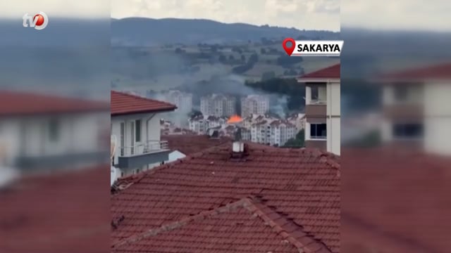 Sakarya'da Otluk Alanda Yangın