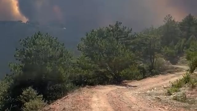 Boludaki yangının Sakaryadan görüntüsü