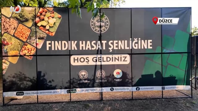 Yörük Köyünde Fındık Hasat Şenliği