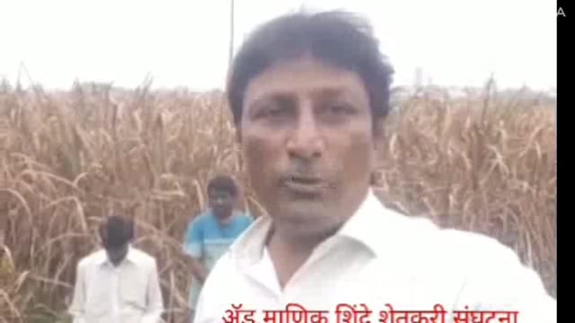 आलेल्या महापुरात शेतीचे पाण्यामुळे ऊसाचे पर्ण नुकसान होऊनही आजचा 15ऑगष्ट आपल्या शेतात साजरा केला 