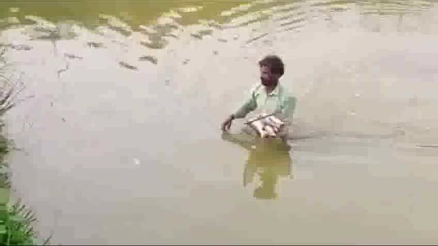 बकाया पैसा नहीं देने पर पोखर में डाला जहर, तीन हजार पीस मछली की हुई मौत; पीड़ित ने थाने में दिया आवेदन