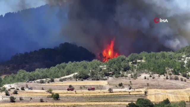 Bolu’daki orman yangını 2’nci gecesinde