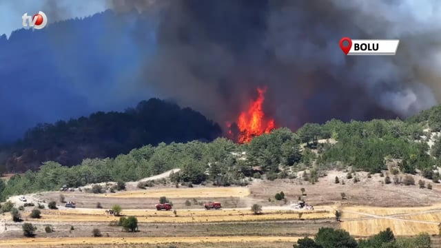 Bolu'daki Orman Yangını 3'ncü Gününde