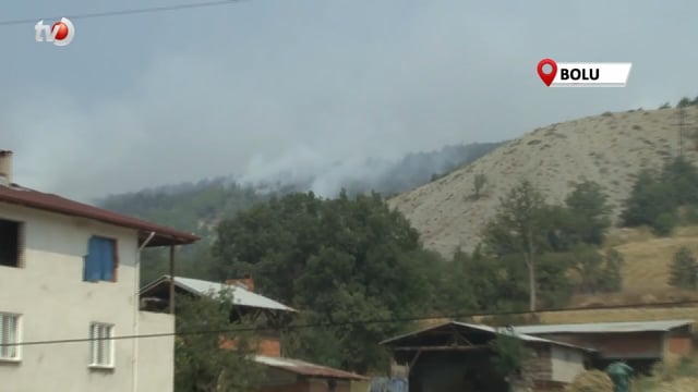 Bolu'daki Orman Yangınında 490 Kişi Tahliye Edildi