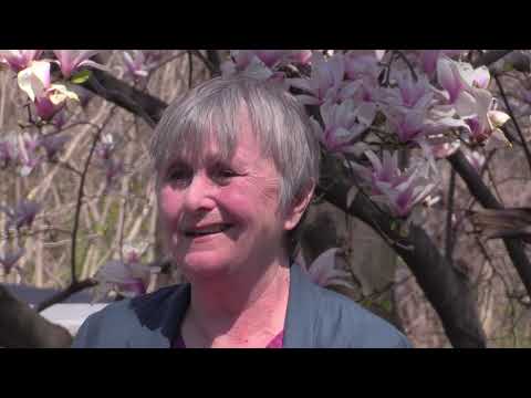 Thumbnail for Finances and Jobs: Metastatic Breast Cancer (MBC)
