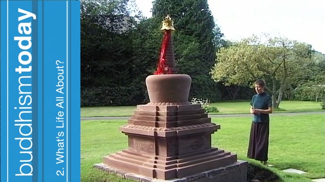 Vimeo Thumbnail