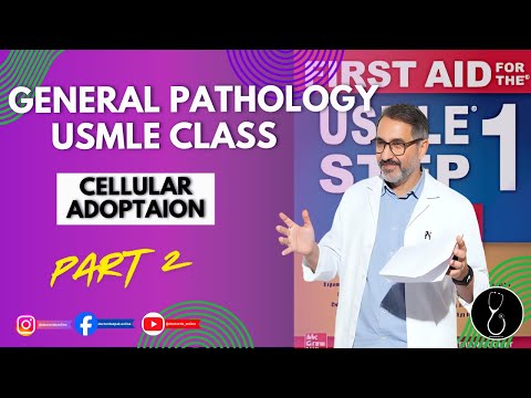 Cellular Adoption Part 2